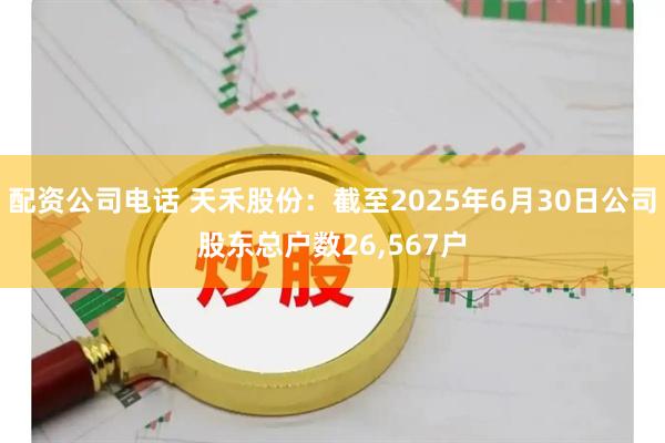 配资公司电话 天禾股份：截至2025年6月30日公司股东总户数26,567户