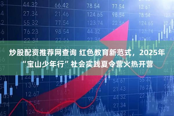 炒股配资推荐网查询 红色教育新范式，2025年“宝山少年行”社会实践夏令营火热开营